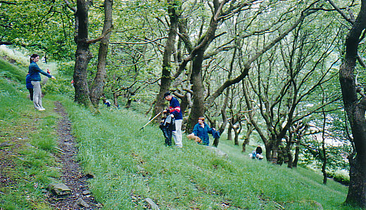Gno-sis, Environmental Education